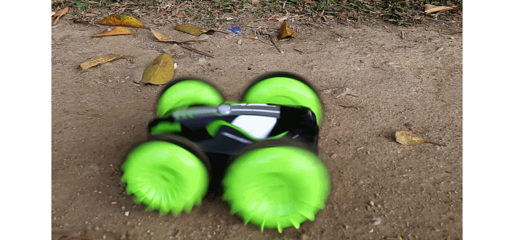 Remote Control Car Detail 1