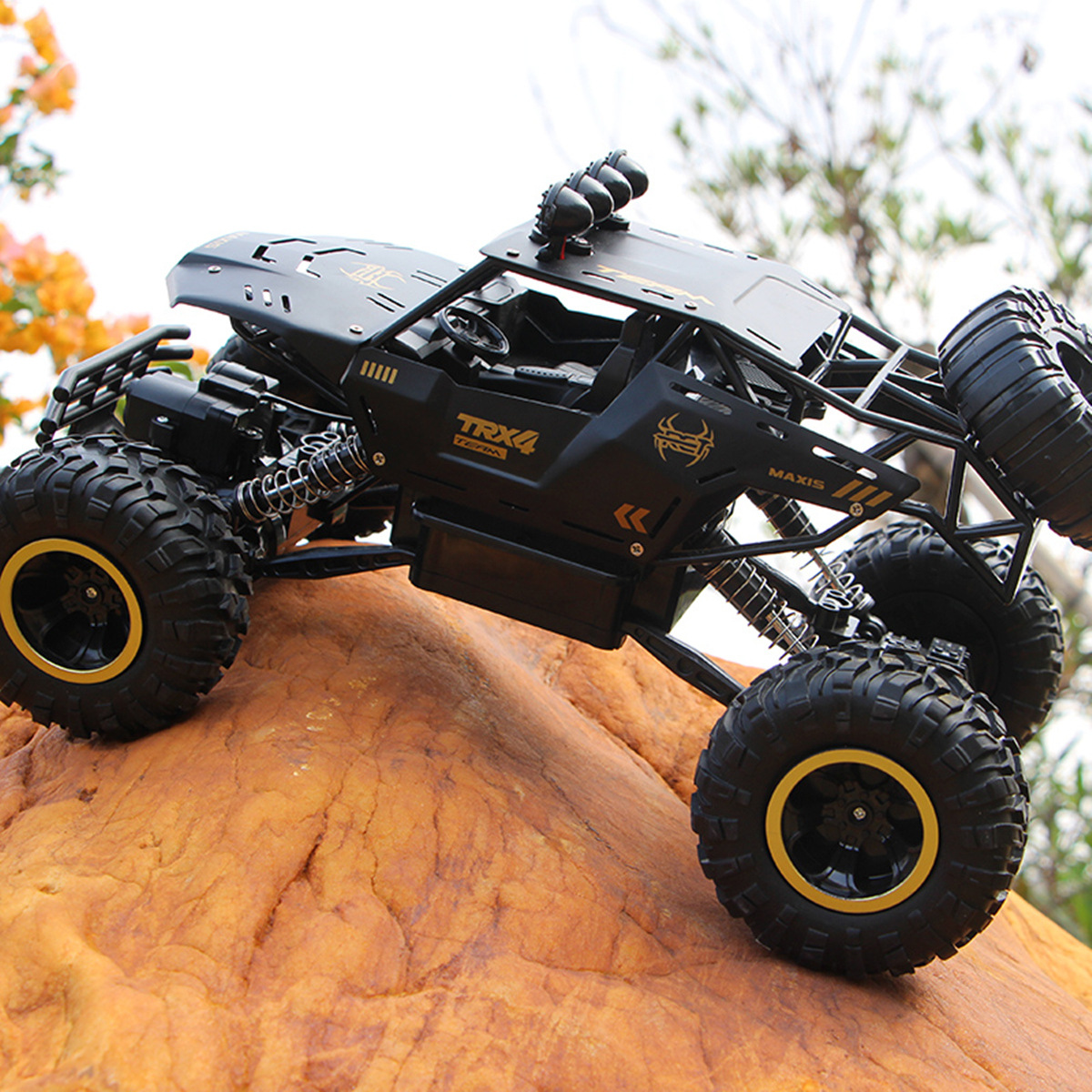 RC Car 9