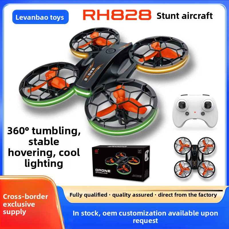 RH828 Light-Up Beginner-Friendly Plastic Airplane Youth Education Training Stunt RC Aircraft Toy Altitude Hold Four-Axis Flight