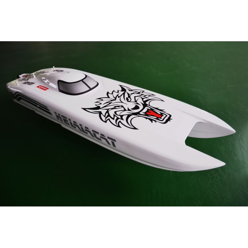 DTRC E51 Catamaran Kevlar/Carbon Fiber HULL 2.4G Electric RC Racing Boat Dual Motors Servos ESC Battery 100km/h DIY Hobby Model