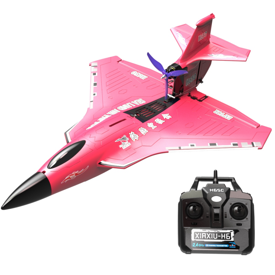 Lehoo Toys H650 Waterproof Sea Land Air Amphibious EPP Foam RTF RC Airplane 2.4G Remote Control Plane
