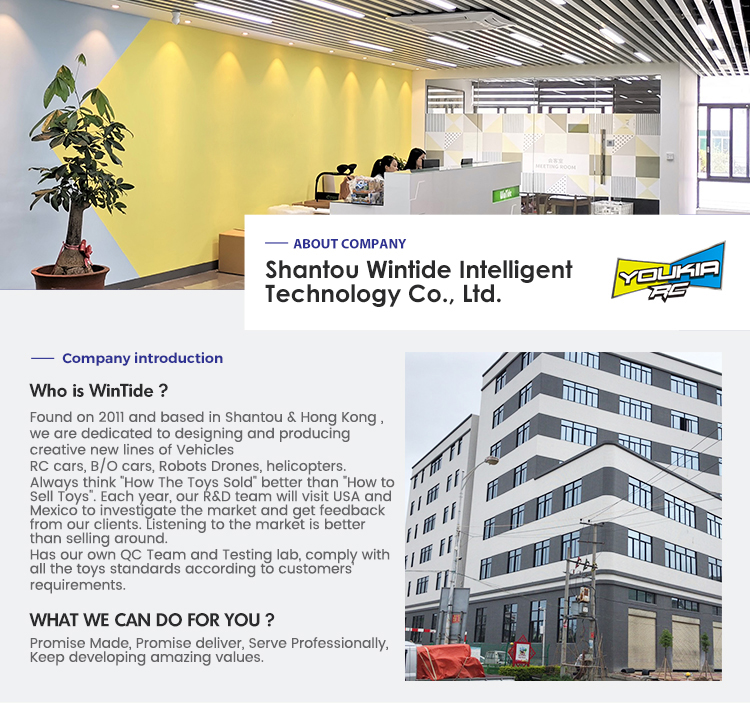 Company overview 1