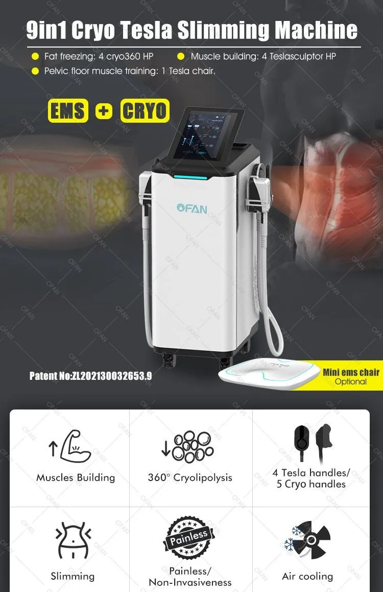 Cryolipolysis Weight Loss System Structure