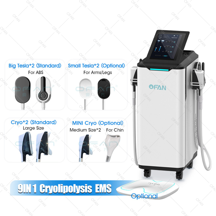 Ofan Criolipolisis Cryolipolysie Crioterapia Price Crypolysis 4 Handles EMS Cryolipolysis Machine for Cryo Body Sculpting Slimming Machine