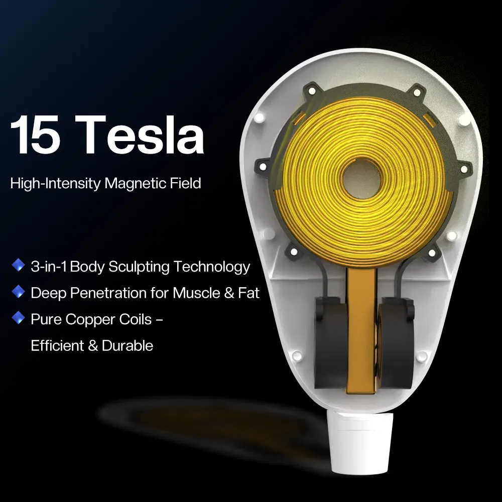 Factory Price 15 Tesla 5 Handles Neo RF Body Slim Sculpting Machine EMS