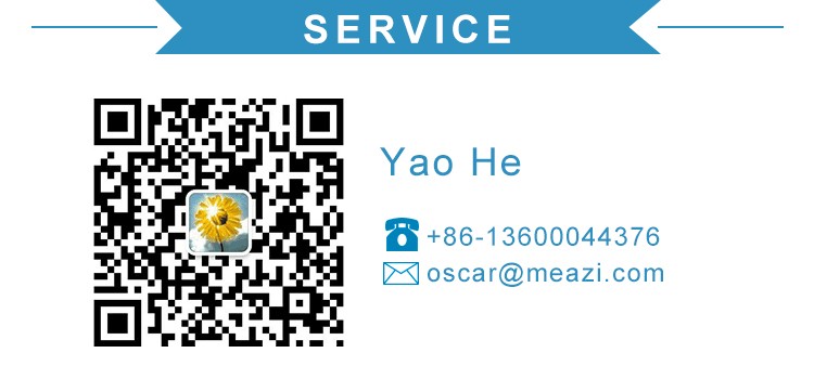 Services Scope