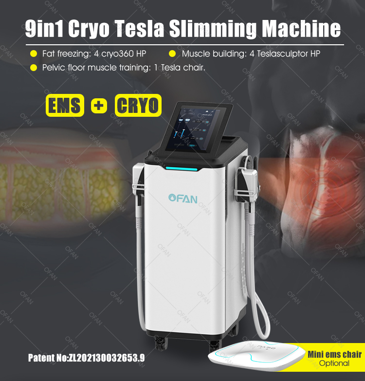 Ofan Criolipolisis Cryolipolysie Crioterapia Price Crypolysis 4 Handles EMS Cryolipolysis Machine for Cryo Body Sculpting Slimming Machine