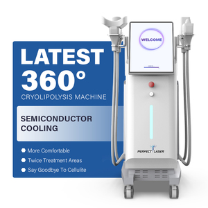 Perfectlaser 4 Handles Diamond Ice Body Slimming Machine Price 360 Degree Fat Freezing Weight Loss Cryolipolysis Machine
