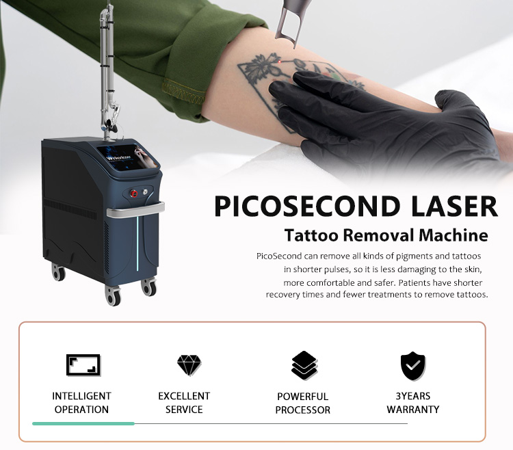 PicoKing System Overview