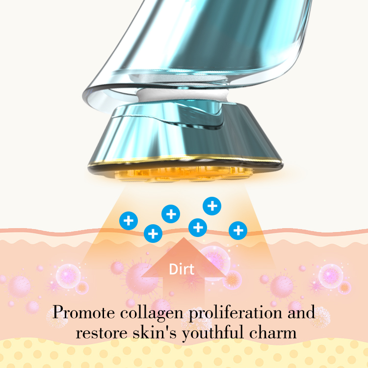 RF LED Red Light Therapy Skin Care Lifting Microcurrent Facial Beauty Device