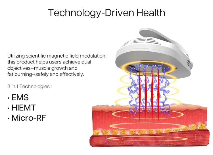 Slimming Machine Treatment Areas