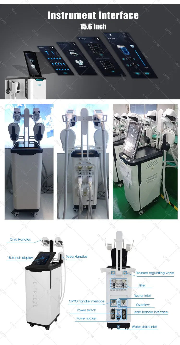 Ofan Criolipolisis Cryolipolysie Crioterapia Price Crypolysis 4 Handles EMS Cryolipolysis Machine for Cryo Body Sculpting Slimming Machine