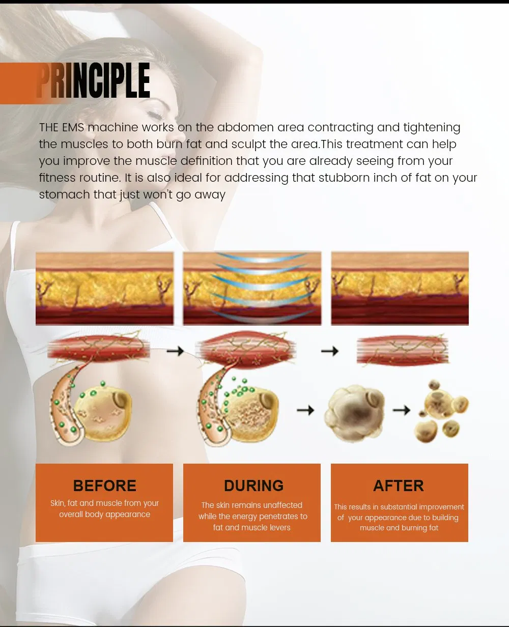 RF EMS Weight Loss Treatment Details