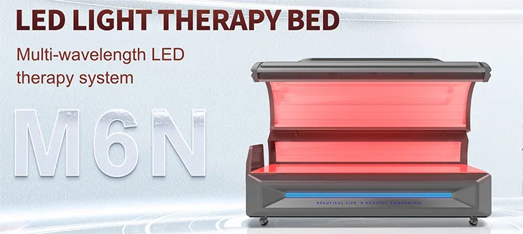 Whole Body Red Light Therapy Experience