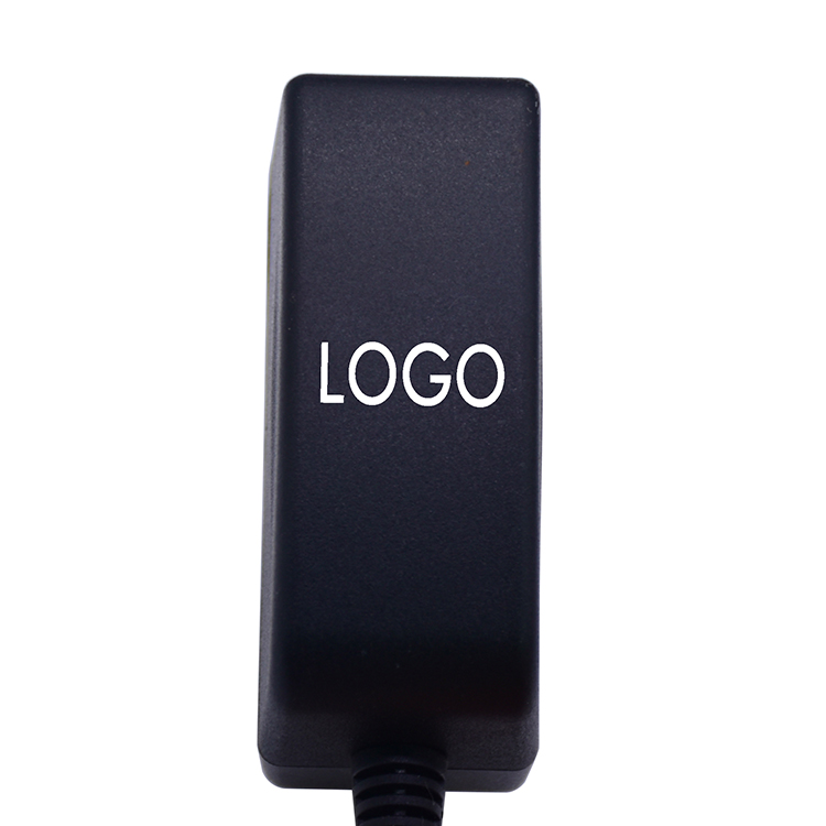 Custom Logo