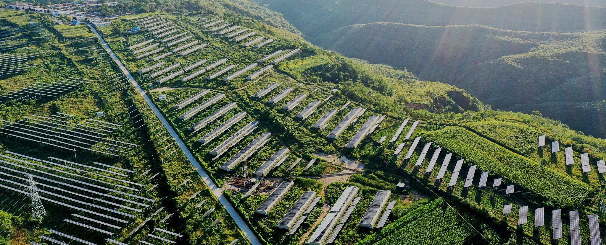 Eco-friendly PV Power Plants