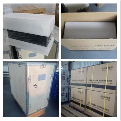 Packaging Case 2