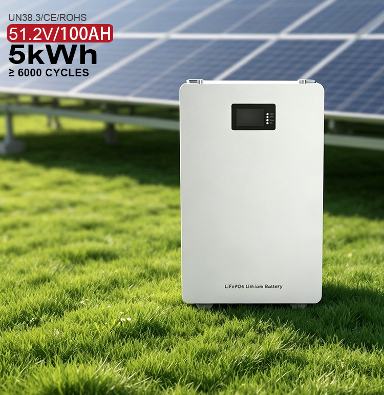 Wall Mounted Tower Style LiFePO4 5.12KWh 51.2V 200Ah CAN Off-grid House Farm Solar Power Energy Storage System