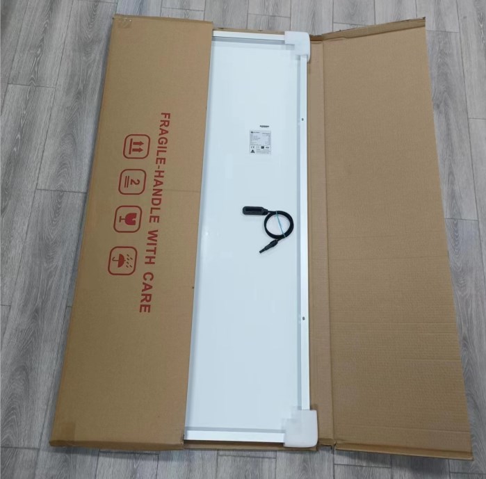 Carton Packing Details 1