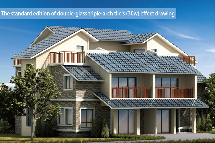 Solar Panel Roof Tiles 30W Double Glass Solar Tiles For Home Use Clean Energy Solar Panels Roof Construction