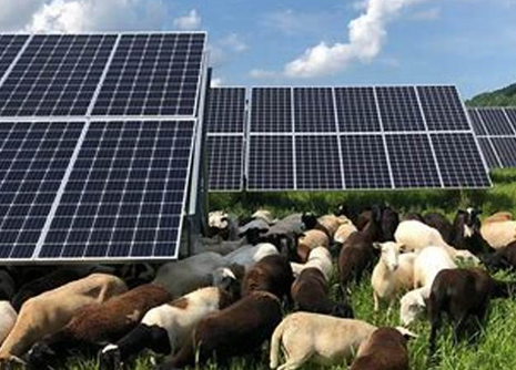 Solar Panel Diagram 3