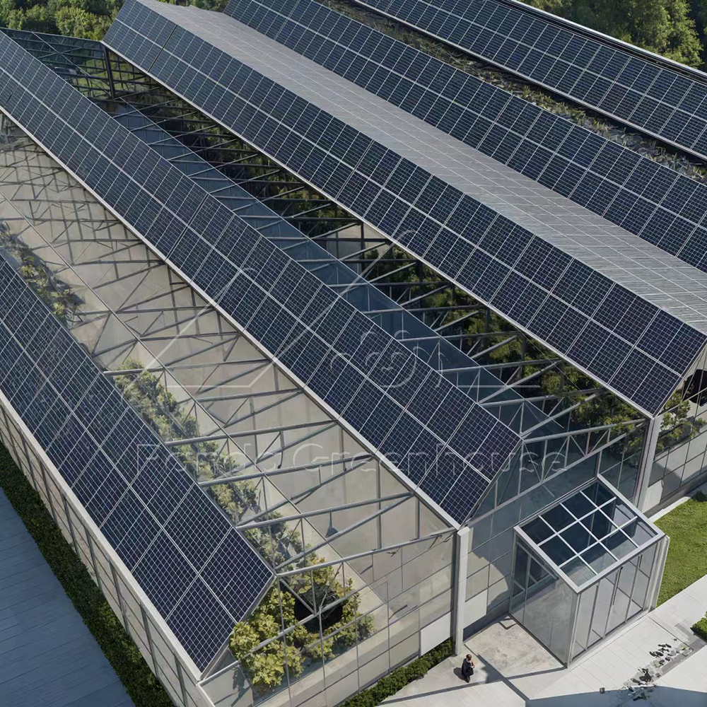 Large Integrated Solar Panel Glass Multi-Span Greenhouse Hybrid Power System For Commercial Organic Fruit Vegetable Flower Farm