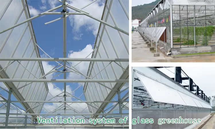 Ventilation System