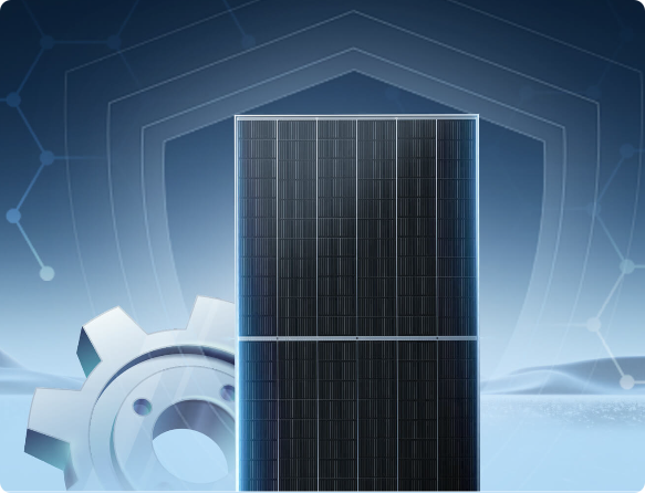 Trinasolar High-Efficiency N-type I-TOPCon Monocrystalline Silicon Bifacial Solar Panel TSM-NE21-720