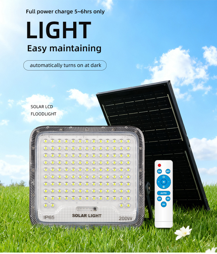 Solar Light Detail 1
