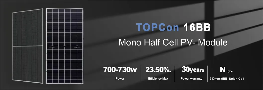 Longi N Type Double Glass Commercial Solar Power Panels Module 680W 690W 700W 710W 720W Non Flexible Bifacial Solar Cell Panel Price for Solar System