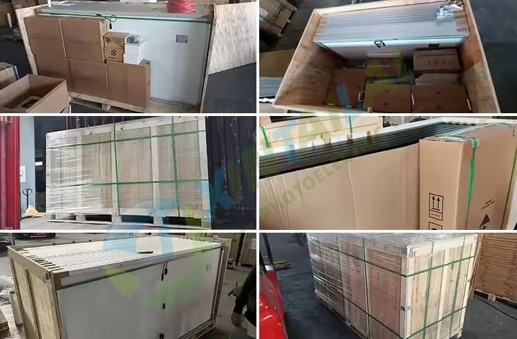Shipping Container Load