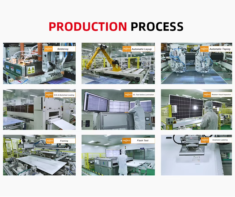 Company Profile