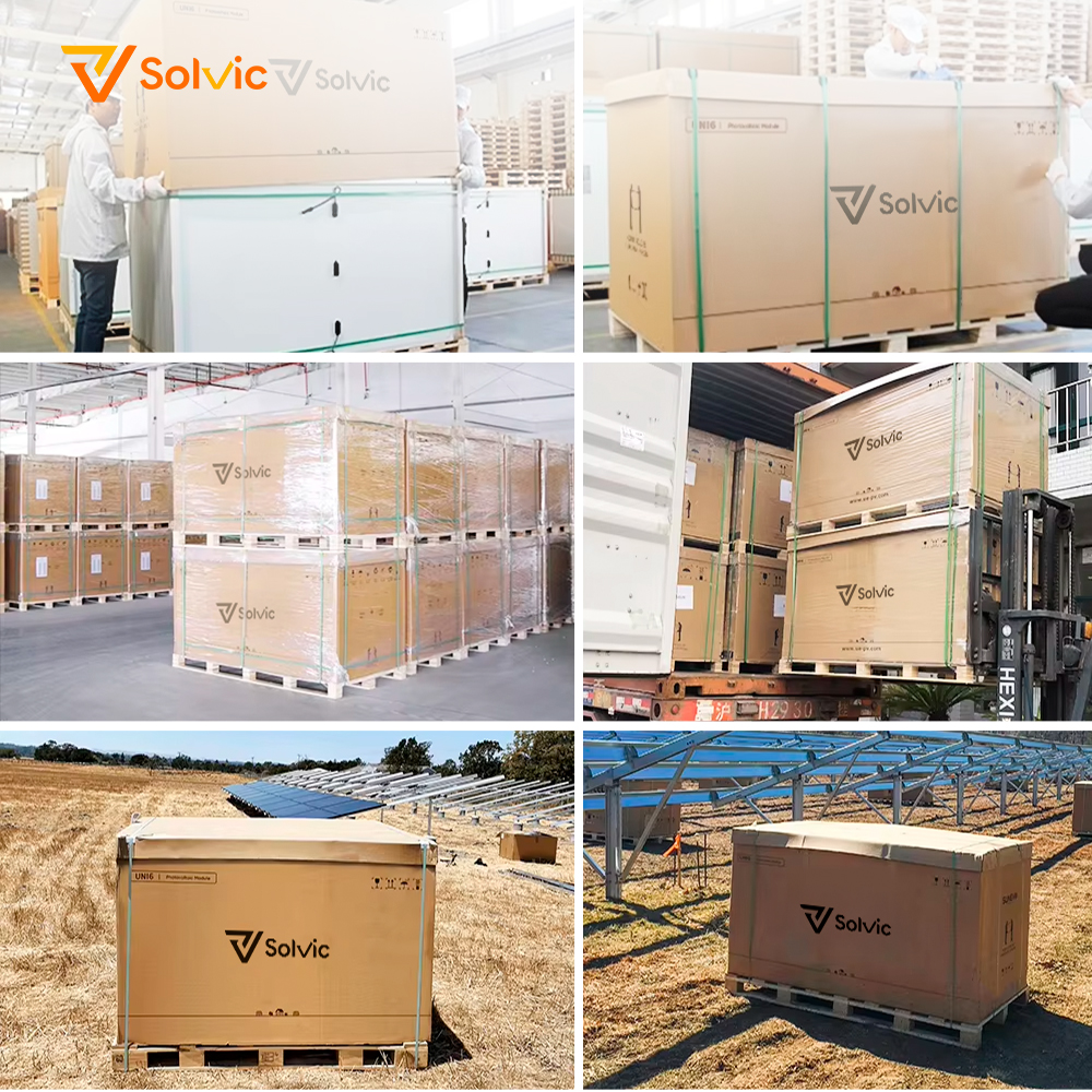 Heavy Duty 680W 700W 720W N-Type for Half Cell Double-Glass Panel Salt Mist &amp; Ammonia Resistant for Coastal Areas