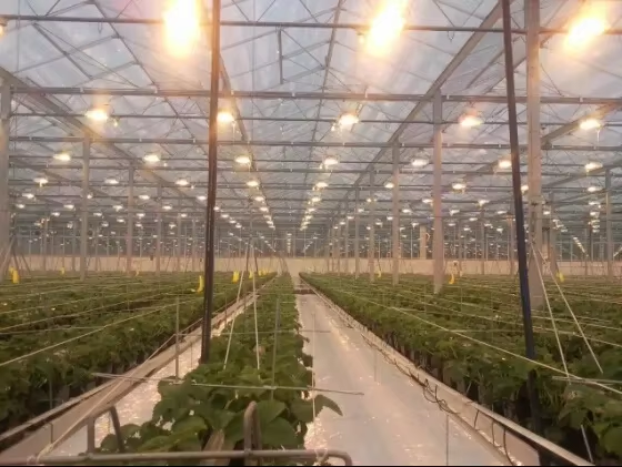 Lighting System 2