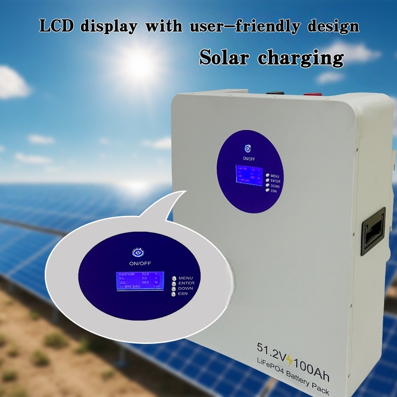 Factory Direct Sale Wall-Mounted Home Energy Storage Generator Hybrid Off-Grid Solar 25.6V/51.2V Brand New Grade Customizable