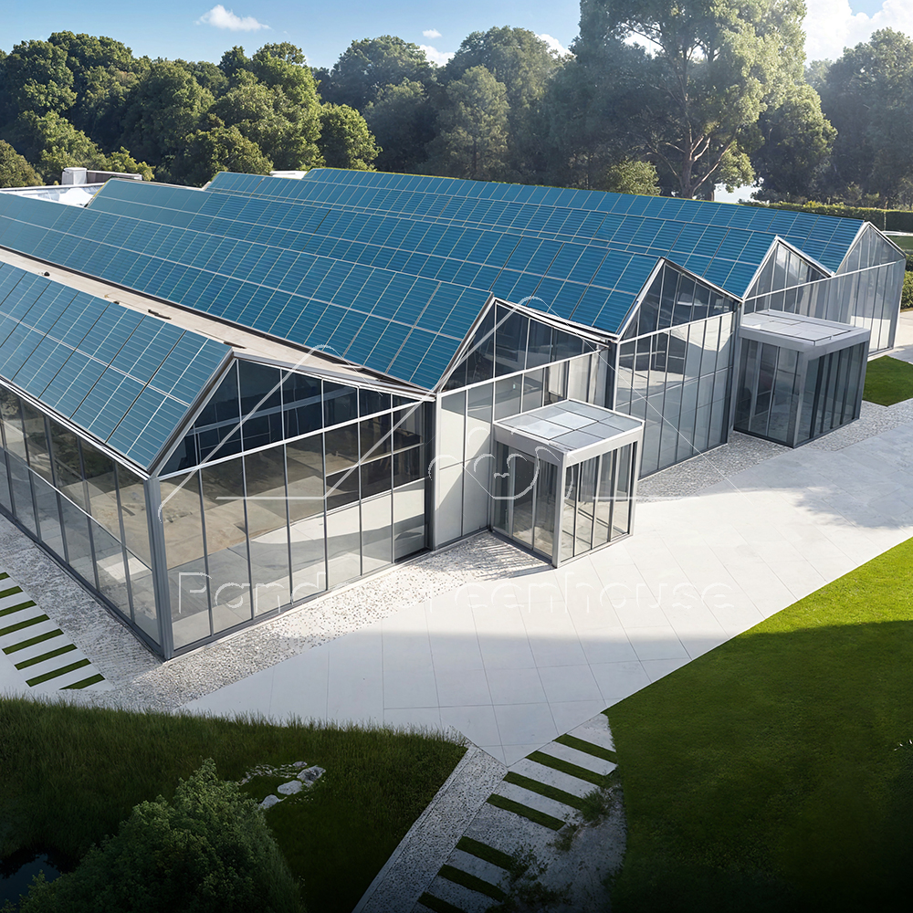 Large Integrated Solar Panel Glass Multi-Span Greenhouse Hybrid Power System For Commercial Organic Fruit Vegetable Flower Farm