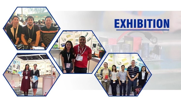 Exhibition Gallery
