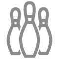 Wooden Bowling Ball icon