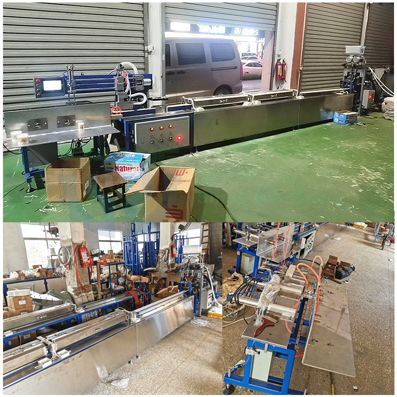 Daily Double-Head Alcohol Cotton Ear Buds Swab Making Packing Machine Manufacturers