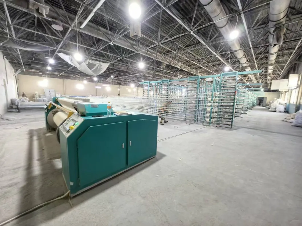 Direct Warping Machine