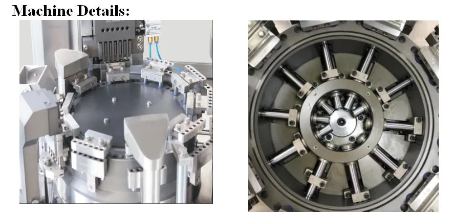 Capsule Filling Detail