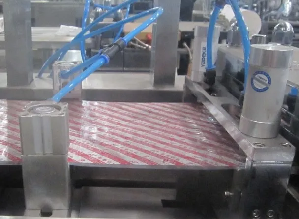 Blister Packaging Machine View 5