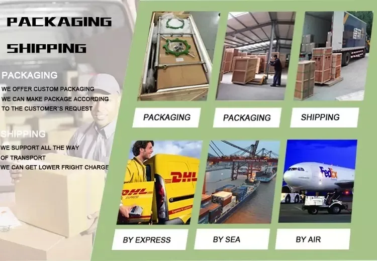 Packaging and Logistics