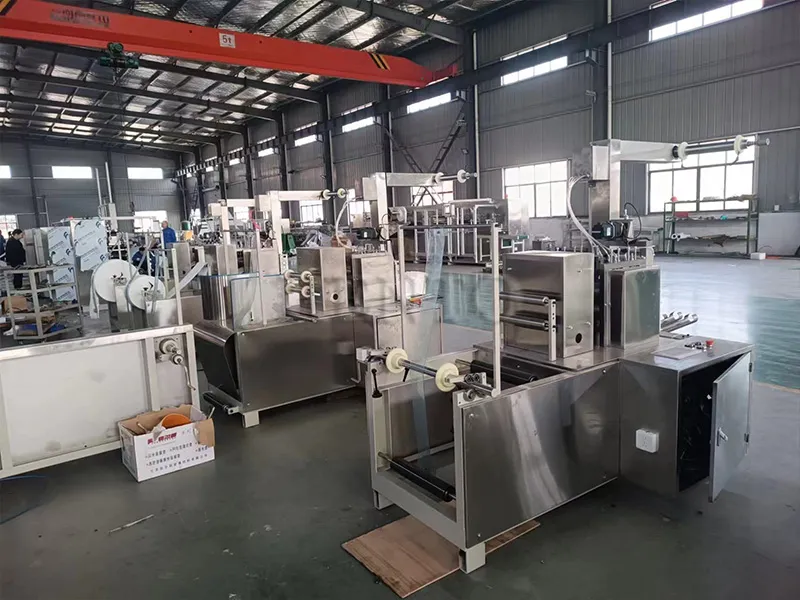 Cotton Pad Machine View 3