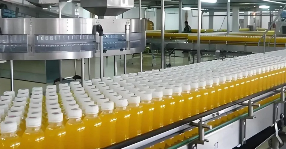 Fresh Fruit Juice Processing