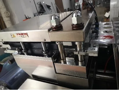 Blister Packaging Machine View 6