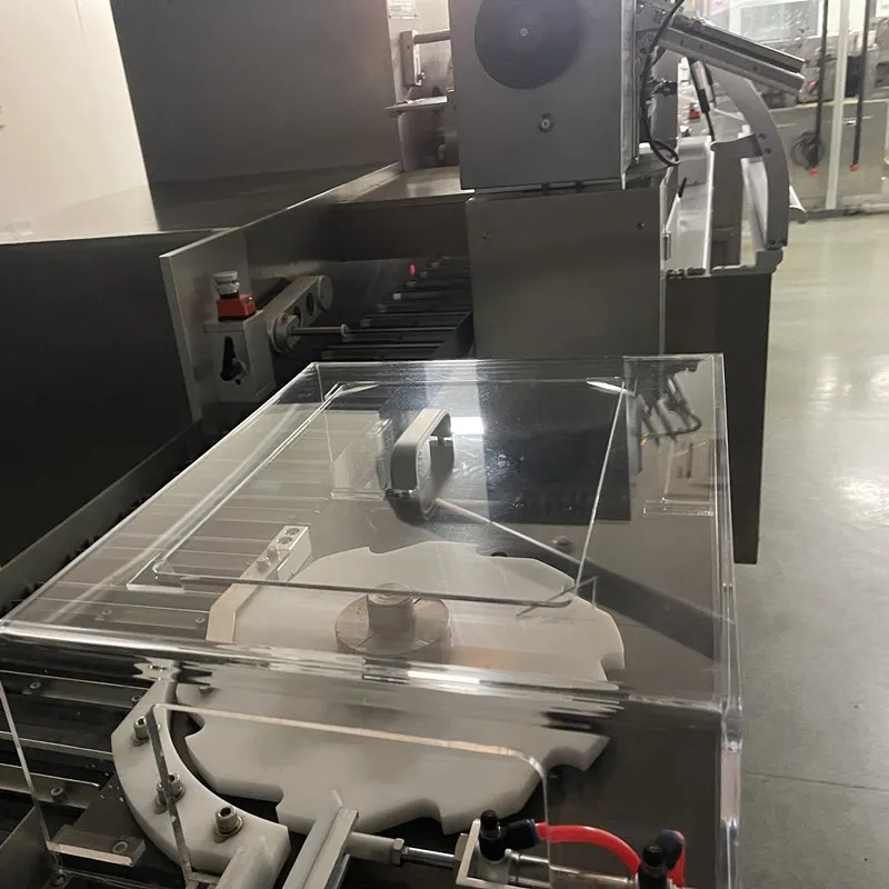 Pharmaceutical Tablet Packing