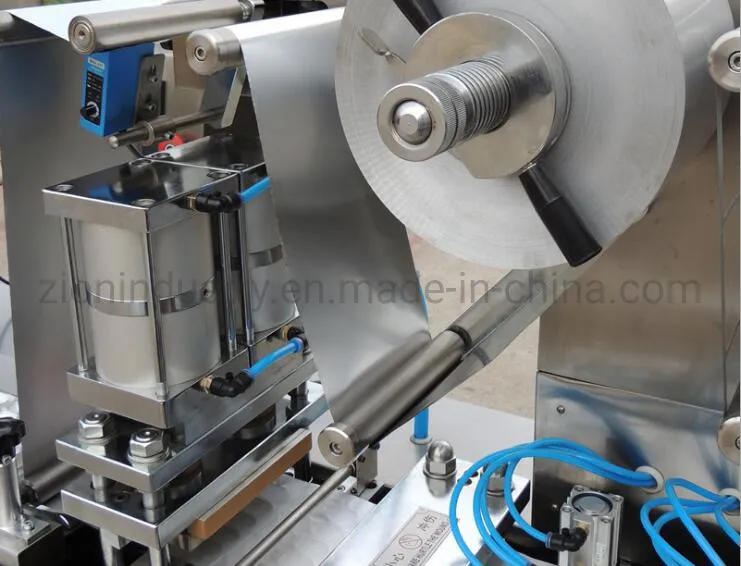 Blister Packing Machine View 3