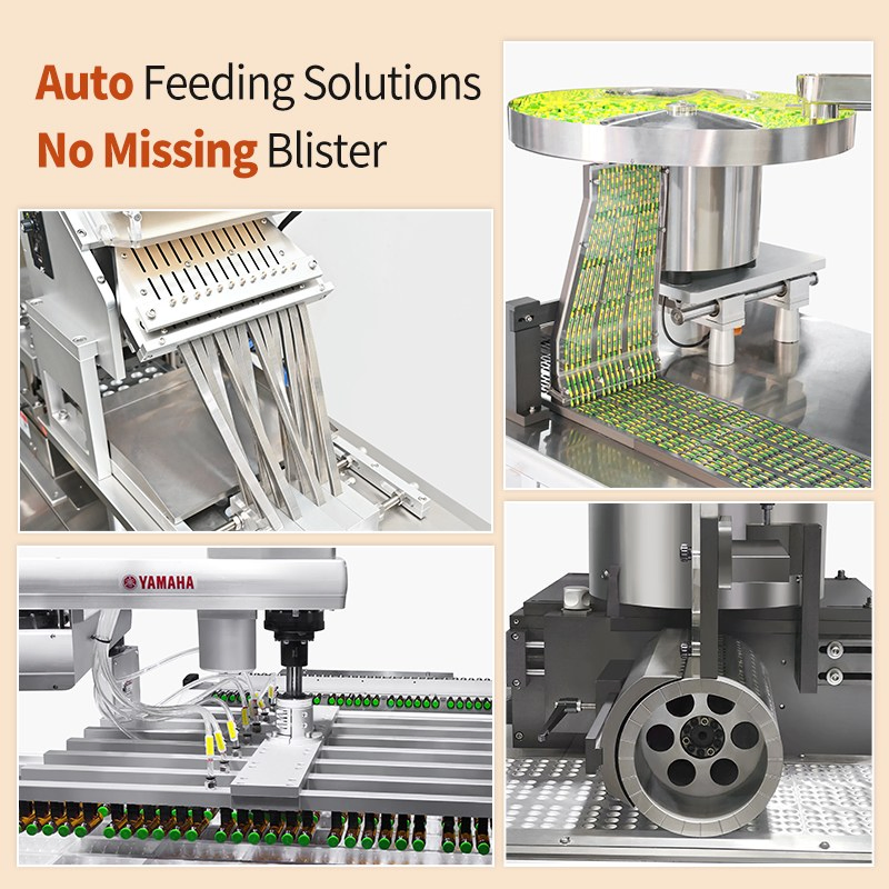 Aluminum PVC Blister Packing Machine Manufacturer Tablet Pills Blister Machine Price for Packaging Capsule Softgel