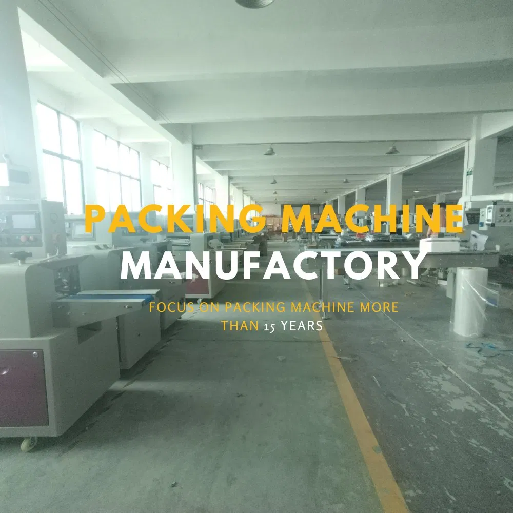 Masala Box Mask Meal Meat Medical Gauze Gloves Tablet Minced Mini Doypack Mosquito Coil Muffin Pillow Packing Machine